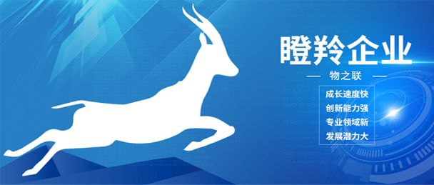 喜讯！物之联再次入选福建省数字经济领域[瞪羚]创新企业！