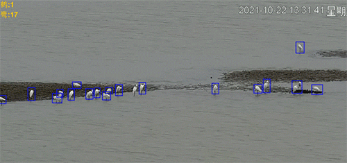 1_副本-500.gif